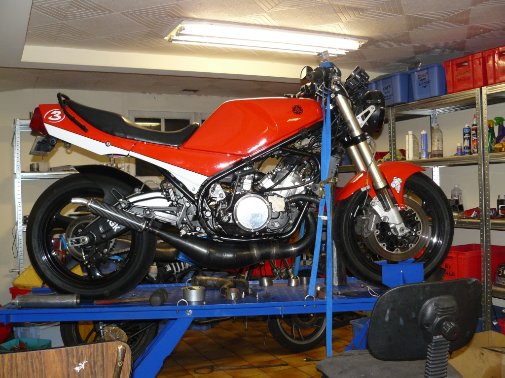 cheetah543005.jpg